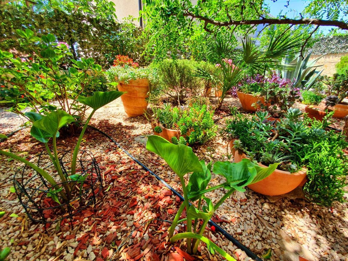 Apartment Tonka Sibenik Luaran gambar
