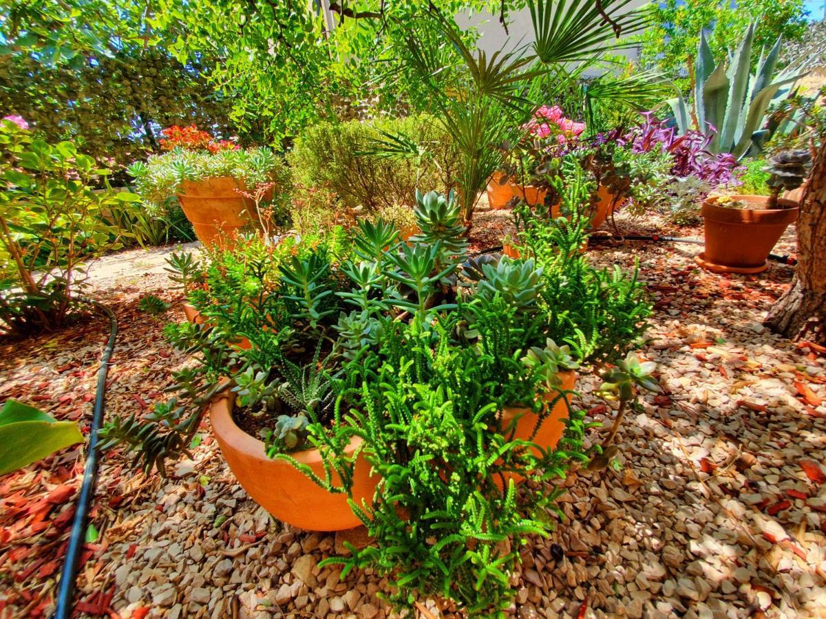 Apartment Tonka Sibenik Luaran gambar